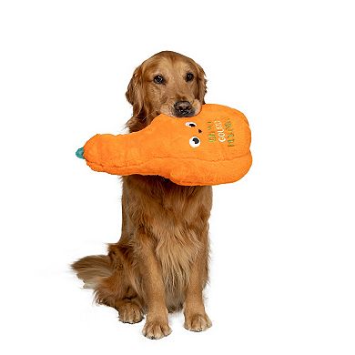 Woof Oh My Gourd Jumbo Plush Pet Toy
