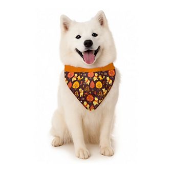 Woof Disney's Winnie the Pooh Autumn Leaves Dog Bandana