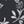 Black Floral