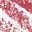 Crushed Raspberry