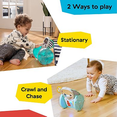 Baby Einstein Chase & Tap Interactive Crawling Toy