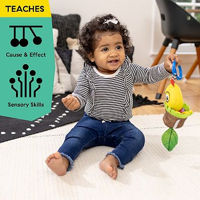 Baby Einstein Pull & Shake Toy