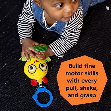 Baby Einstein Pull & Shake Toy