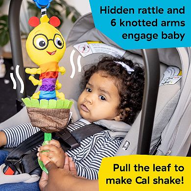 Baby Einstein Pull & Shake Toy