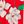 Holiday Red Magnolia