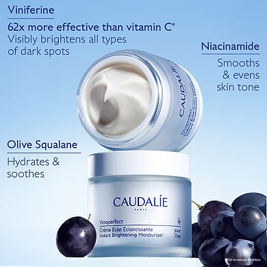 Vinoperfect Brightening Refillable Moisturizer with Niacinamide
