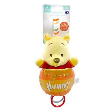 Winnie the Pooh Pull Down Ziggle Toy