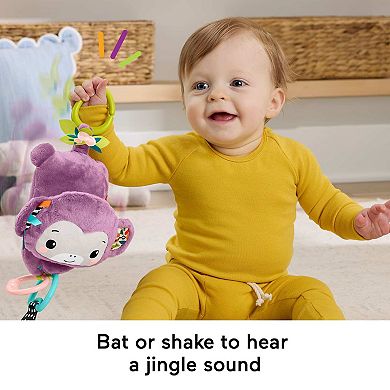 Fisher-Price Sing & Go Plush Monkey Sensory Toy