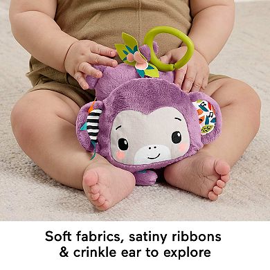 Fisher-Price Sing & Go Plush Monkey Sensory Toy