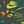 Fir