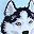 Husky