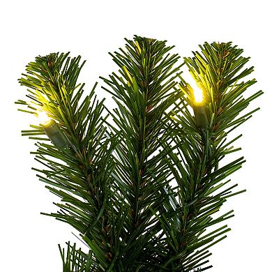 Vickerman 9-ft. Artificial Sequoia Garland
