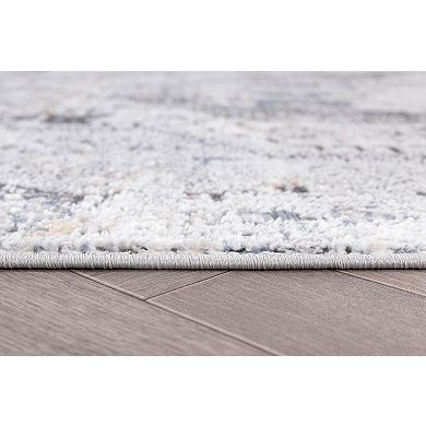 L'Baiet Anna Grey Oriental Are or Runner Rug