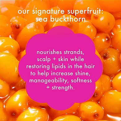 Mane Menders Strength Repair Shampoo + Conditioner Set