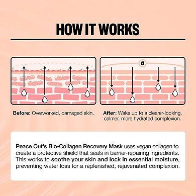 Overnight Barrier Hydrating Bio-Collagen Recovery Mask