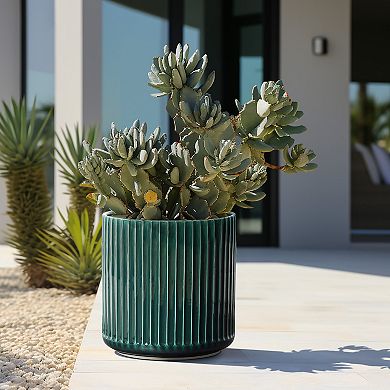 LuxenHome Jade Ribbed Round Ceramic Planter