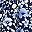 Navy Meadow Floral