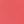 Coral Leather