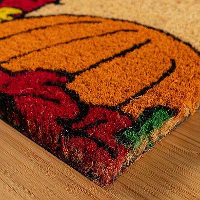 Peanuts Snoopy House 18 inch x 30 inch Doormat