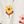 Ivory Big Daisy