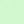 Icy Mint White
