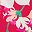 Coral Rose Lilies