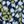 Navy Bloom Floral
