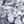 Shells Deep Sea Navy