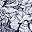 Shells Deep Sea Navy