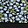 Navy Bloom Floral