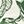 Egret Green Leaves