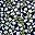 Navy Bloom Floral