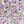 White Ditsy Floral