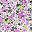 White Ditsy Floral