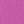 Fuchsia Posey