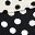 Black Egret Dots