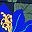 Navy Floral Blooms
