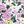 White Ditsy Floral