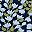 Navy Bloom Floral