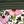Pink Floral Border Mix