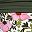 Pink Floral Border Mix