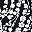 Black White Floral