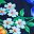 Navy Poppy Floral