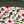 Pink Floral Border Mix