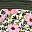 Pink Floral Border Mix