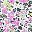 White Ditsy Floral