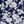 Navy Blossom Floral