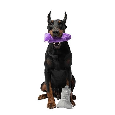 Woof 2-pk. Multi-squeaker Tombstone Dog Toys
