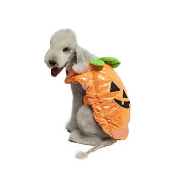 Woof Pumpkin Dog Costume