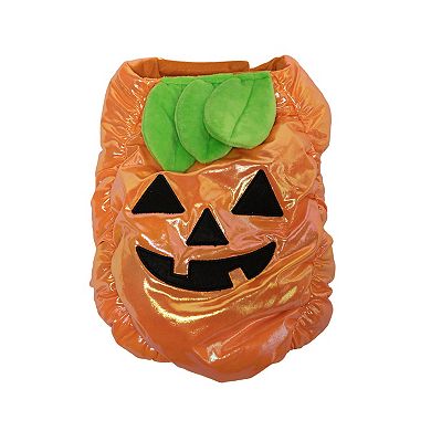 Woof Pumpkin Dog Costume